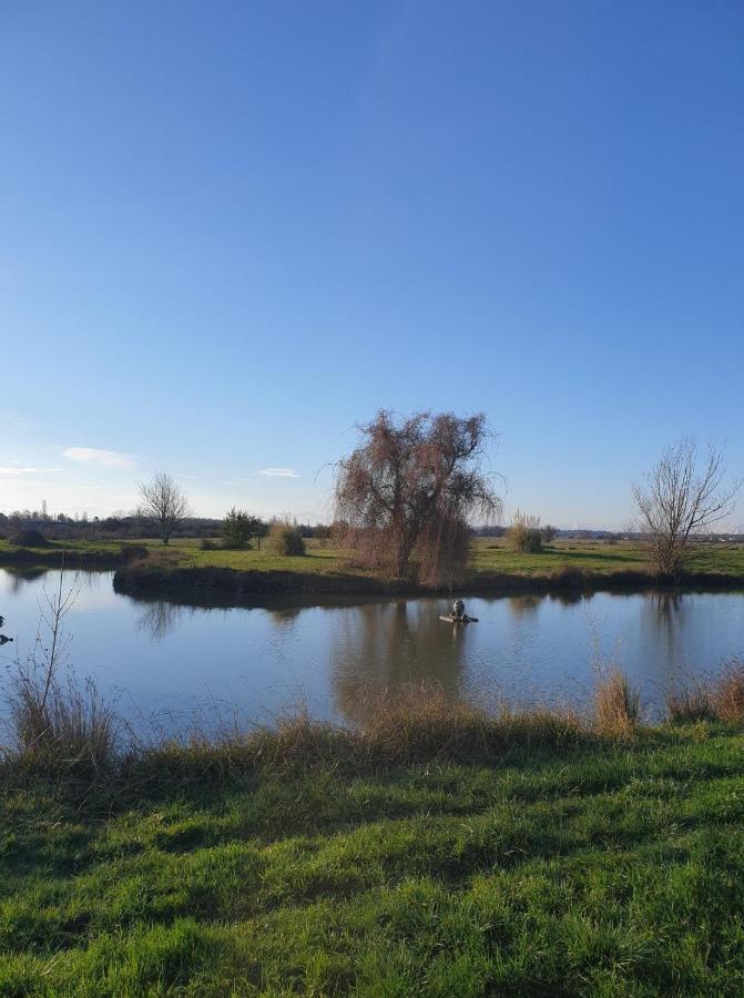 Lamasquere La Ferme Du Puits Carre Bed & Breakfast エクステリア 写真