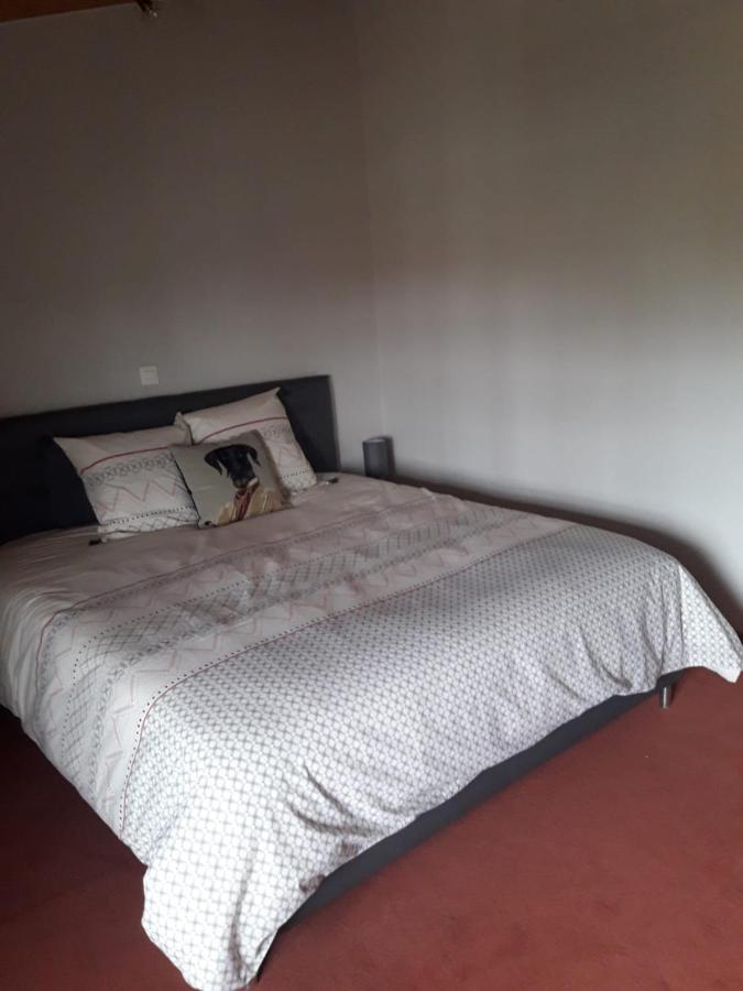 Lamasquere La Ferme Du Puits Carre Bed & Breakfast エクステリア 写真